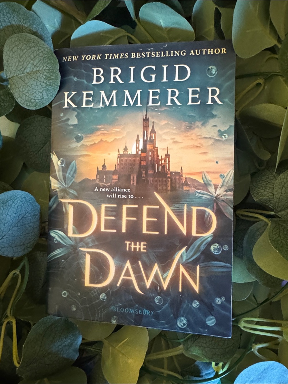 Defend the Dawn by Brigid Kemmerer